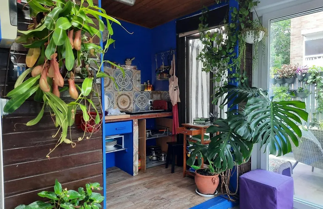 Loft con jardin-1